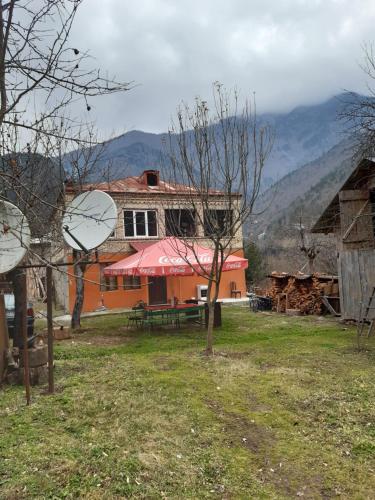 Фотография мини отеля Dandalo