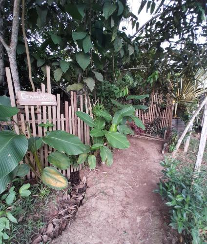 Фотография кемпинга Comunidade do Xingu Camping Site