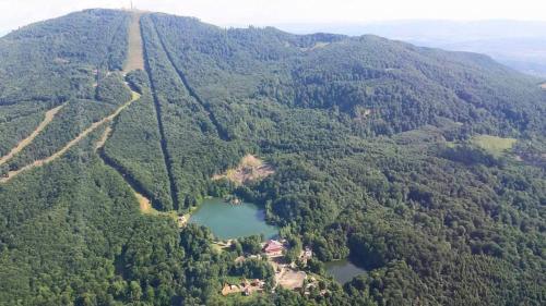 Фотография гостевого дома Pintea Chalet