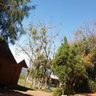 Фотография мини отеля Pousada do Belvedere - Sítio Ramos