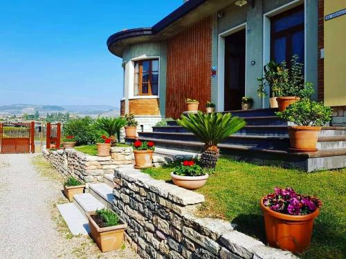 Фотография мини отеля B&B Valpolicella 68