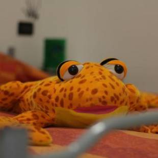 Фотографии гостевого дома 
            Elicrim