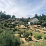 Фотография гостевого дома Relaxscape