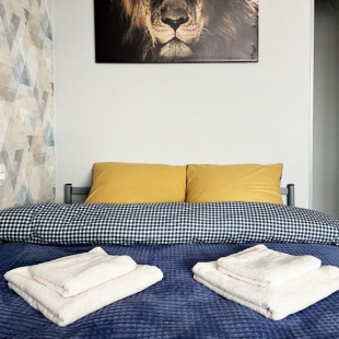 Фотография квартиры Апартаменты Династия