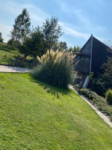 Фотография гостевого дома Vakantiehuis in paradijselijke sfeer met privémeertje