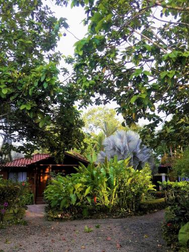 Фотография мини отеля Casa Marcellino Lodge