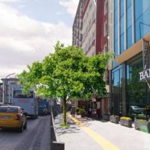 Фотографии мини отеля 
            Yeni Bahar Otel