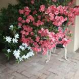 Фотография мини отеля Little Umhlanga. Sunflower suite.