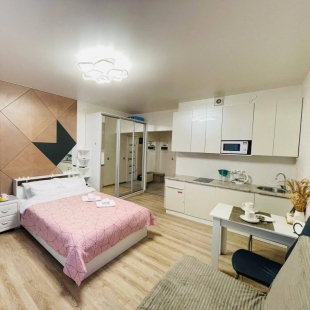 Фотография квартиры Квартира Уютная студия в п.Шушары, Вишерская 2