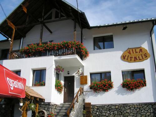 Фотография гостевого дома Vila Vitalis