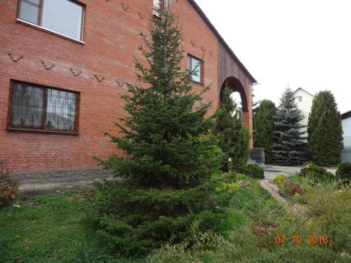 Фотография мини отеля Светлана