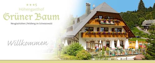 Фотографии гостиницы
Hotel & Restaurant Grüner Baum - Die Grüne Oase Am Feldberg