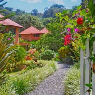 Фотографии гостиницы
Boquete Garden Inn