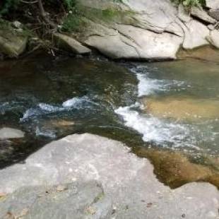 Фотографии гостевого дома
THE CREEK HOUSE, Mini Resort!!