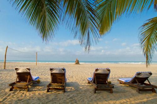 Фотография гостиницы Gitana del Mar Boutique Beach Resort