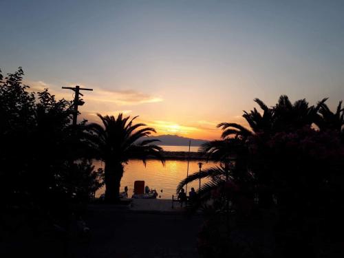 Фотография гостевого дома POPI 'S HOME