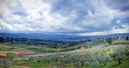 Фотография базы отдыха Agriturismo Fattoria Di Maiano