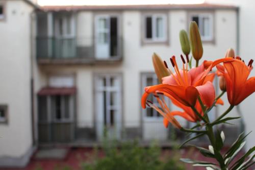 Фотография гостевого дома Dear Porto Guest House