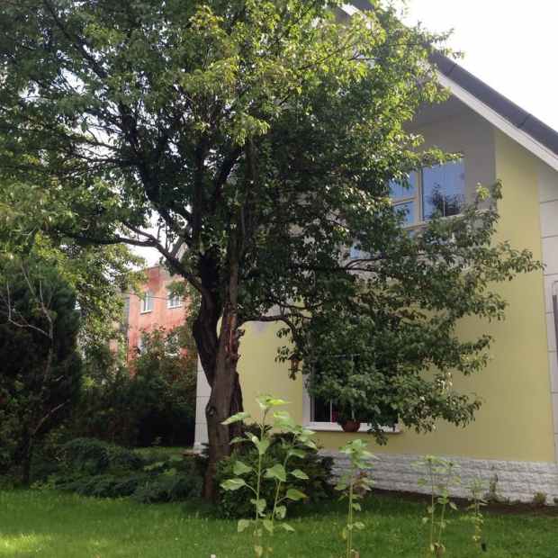 Фотографии гостевого дома
Амалиенау Хаус