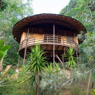 Фотография гостевого дома Paradiselodge Jungleguesthouse
