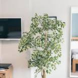 Фотография мини отеля The Green W7