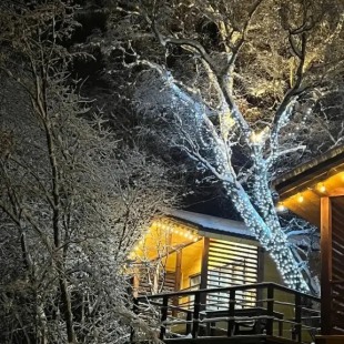 Фотография Коттеджа Частный дом Веселые гуси 1