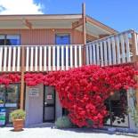 Фотография базы отдыха Picton Campervan Park