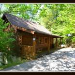 Фотография гостевого дома Cabin Fever