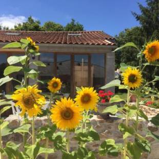 Фотографии гостевого дома 
            Gîte climatisé de La Haute Rue