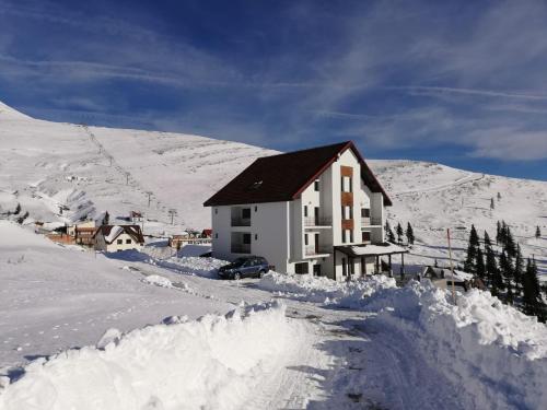 Фотография гостевого дома Cabana Parang