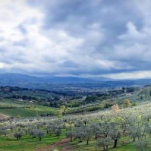 Фотографии базы отдыха
Agriturismo Fattoria Di Maiano