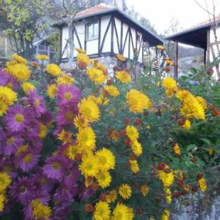 Фотографии базы отдыха 
            Golemi kamik Pirot Vlasi