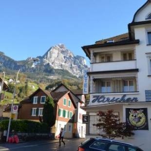 Фотографии хостела
Hirschen Backpacker-Hotel & Pub