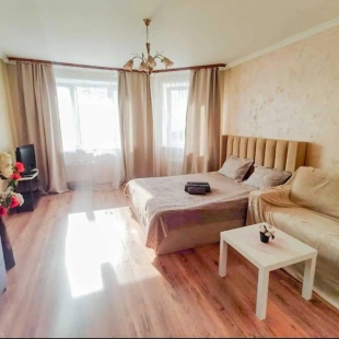 Фотография квартиры Апартаменты на проспекте Гагарина 8/7