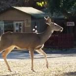 Фотография мотеля The River Inn