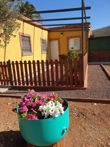 Фотография гостевого дома La Casita del Naranjo