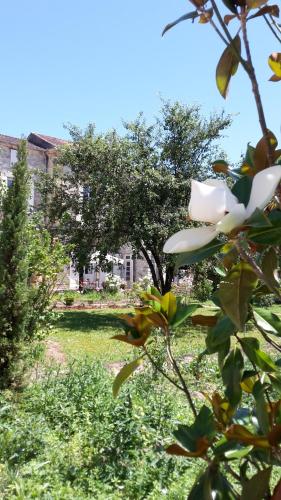 Фотография мини отеля L'Ecrin