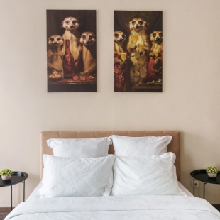 Фотография квартиры Квартира В гостях у Сурикатов