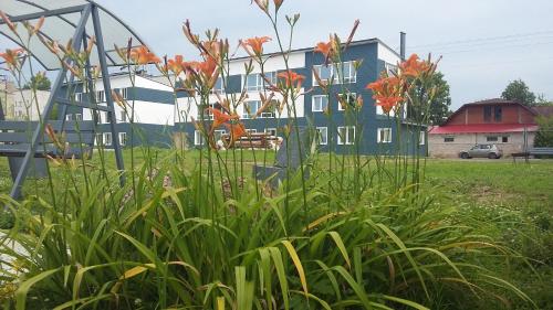 Фотография апарт отеля Кают Компания 