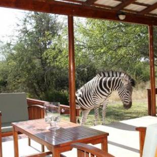 Фотографии мини отеля
Turaco Lodge