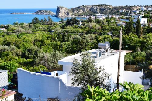 Фотография гостевого дома Filia Bungalow