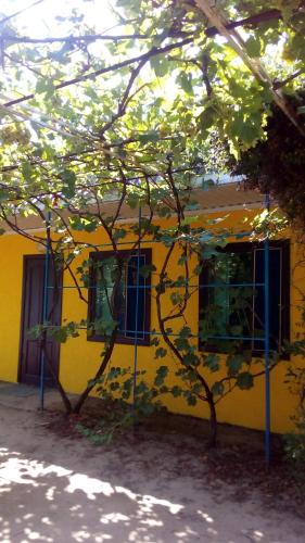 Фотография гостевого дома Советская, 95