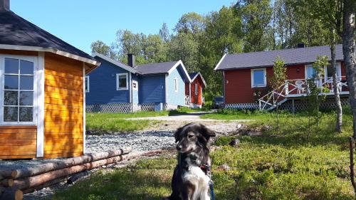 Фотография базы отдыха Svensby Tursenter