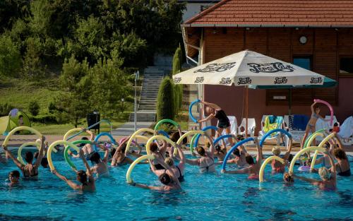 Фотография гостиницы Erzsébet Park Hotel