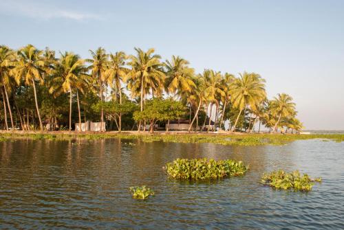 Фотография гостиницы Vismaya Lake Heritage