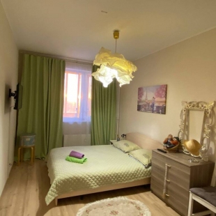 Фотография квартиры Апартаменты Охтинская Аллея у метро Девяткино