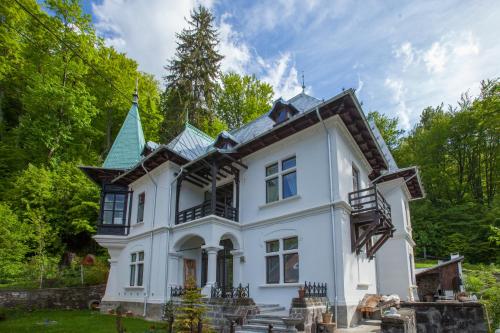 Фотография гостевого дома IL Piccolo Castello Busteni