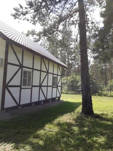 Фотография базы отдыха Панорама Алтай