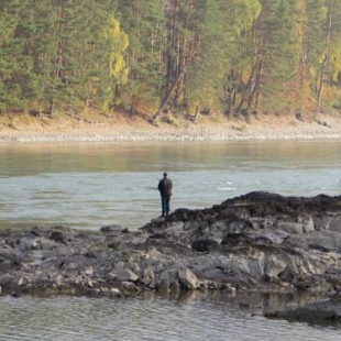 Фотография гостевого дома Авелия