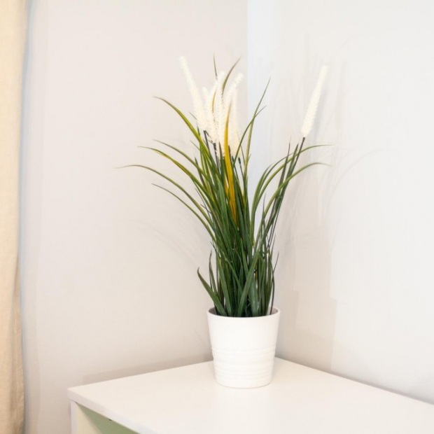 Фотографии квартиры
RentPlaza (РентПлаза) на 5-ой просеке 133